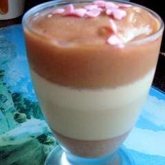 Panna cotta à la crème d’amande et à la gelée de rhubarbe recette à indice glycémique bas