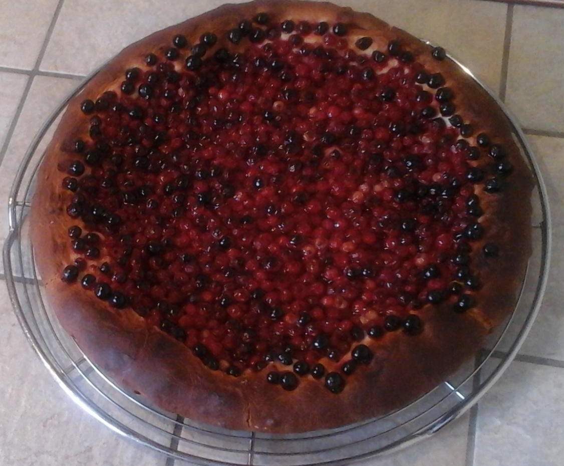 Pâte à tarte briochée