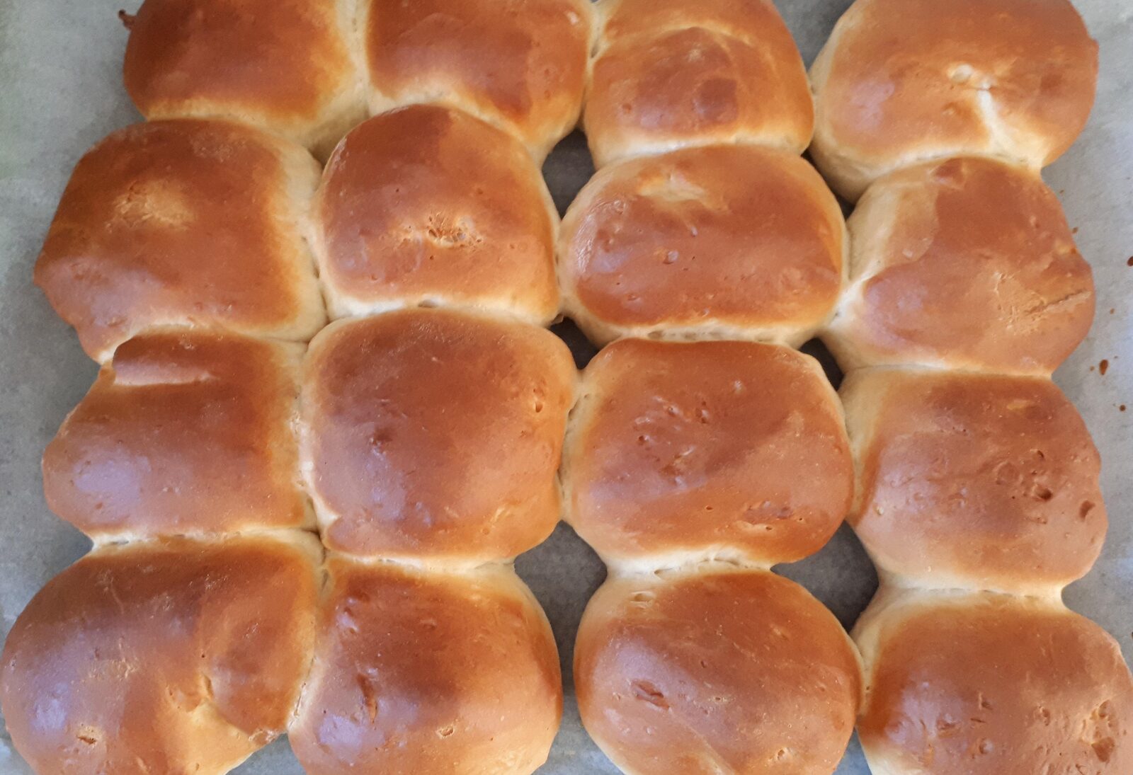 Petits pains au lait