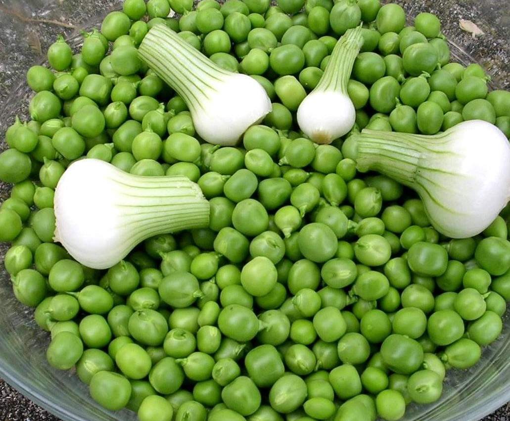 Petits pois aux petits oignons blancs et à la salade cuite