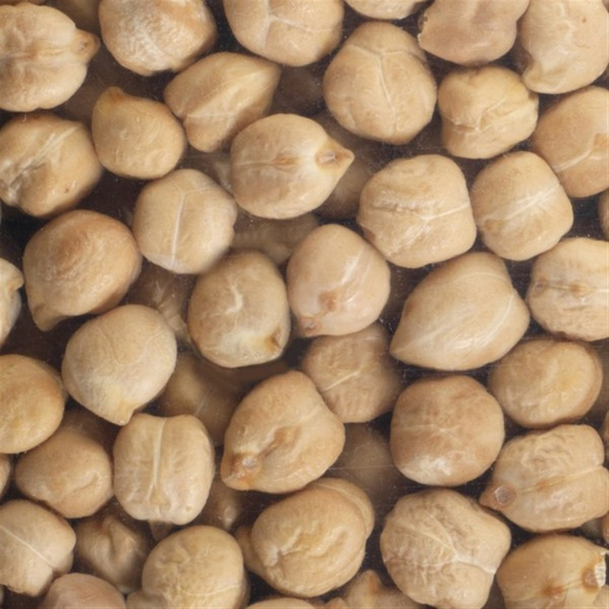 Pois chiche (cuire pois chiche secs)