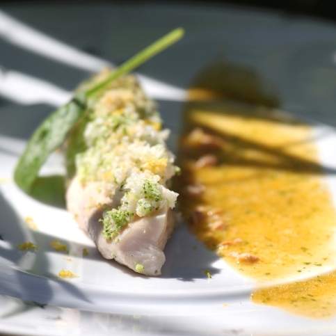 Poulet fermier vapeur, condiment abricot-coriandre