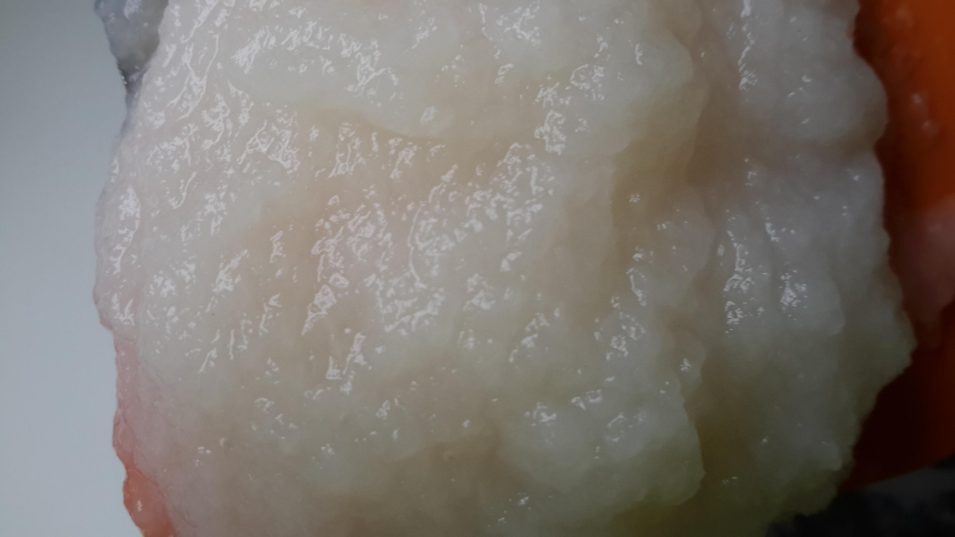 première purée de navet