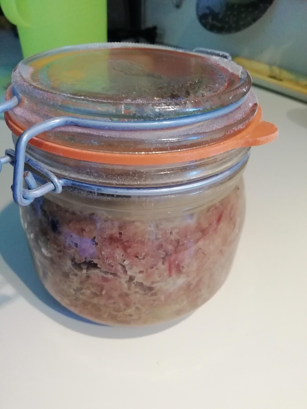 rillettes de canard (avec porc)