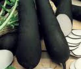 Salade d'hiver au radis noir