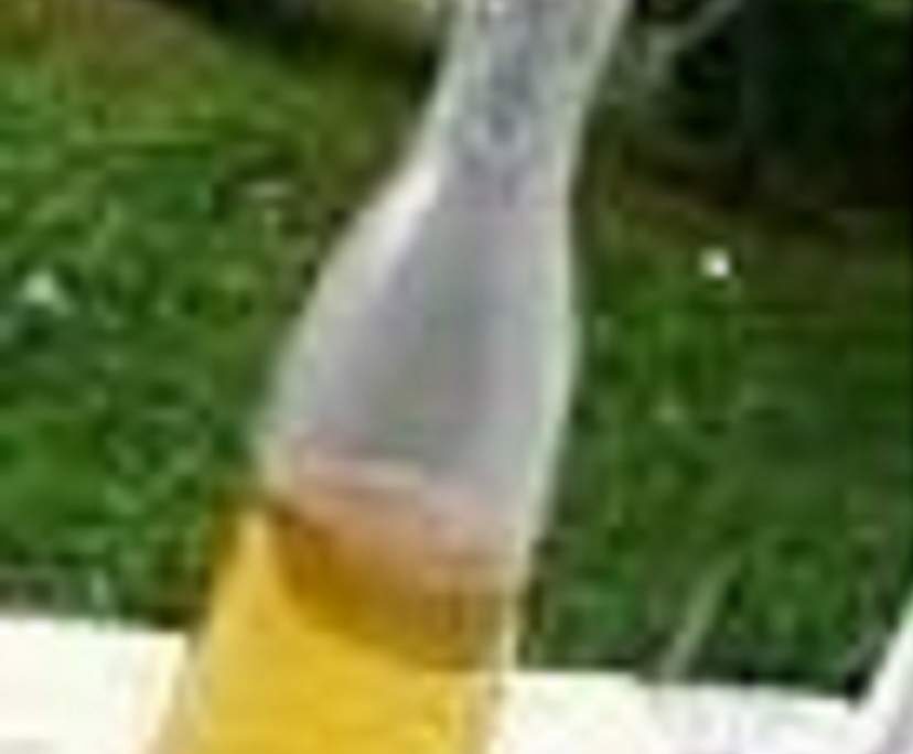 sirop de canne à sucre