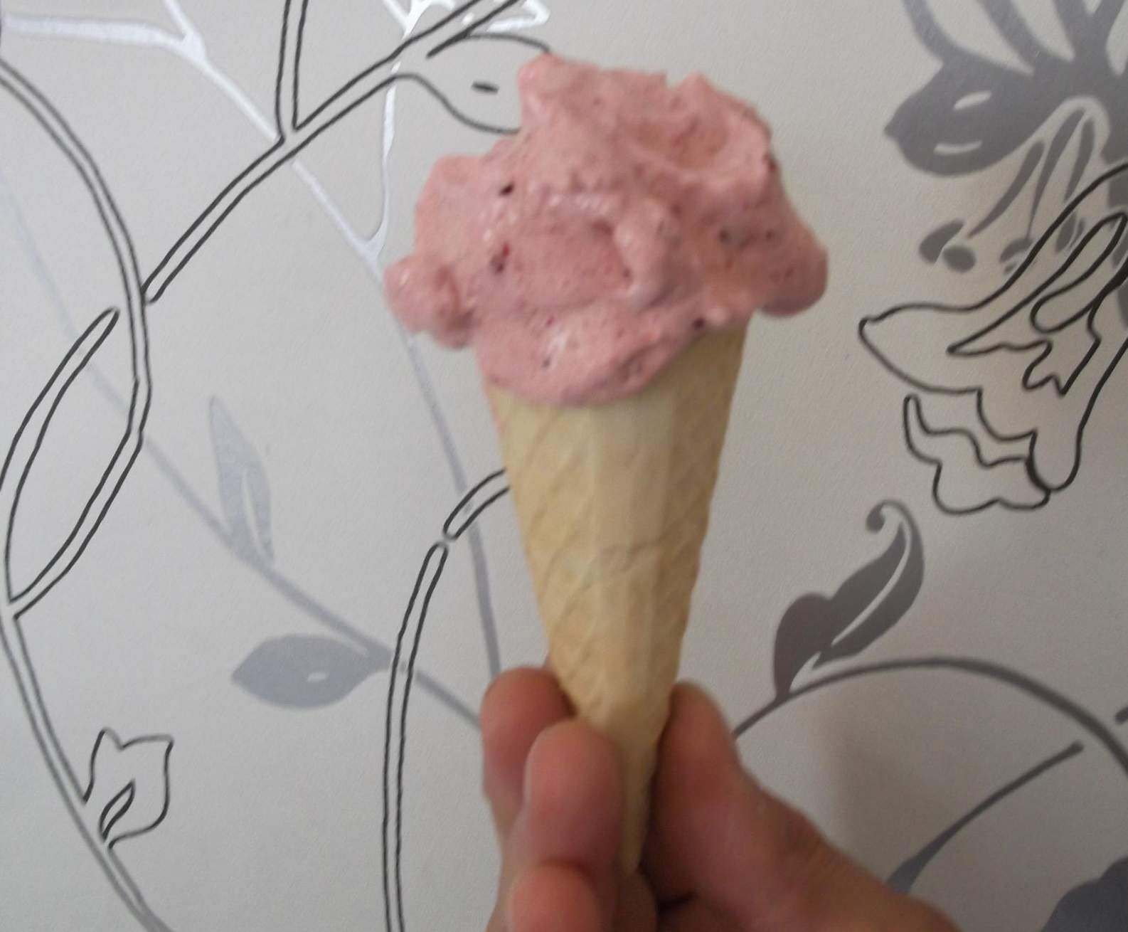 Sorbet à la cerise
