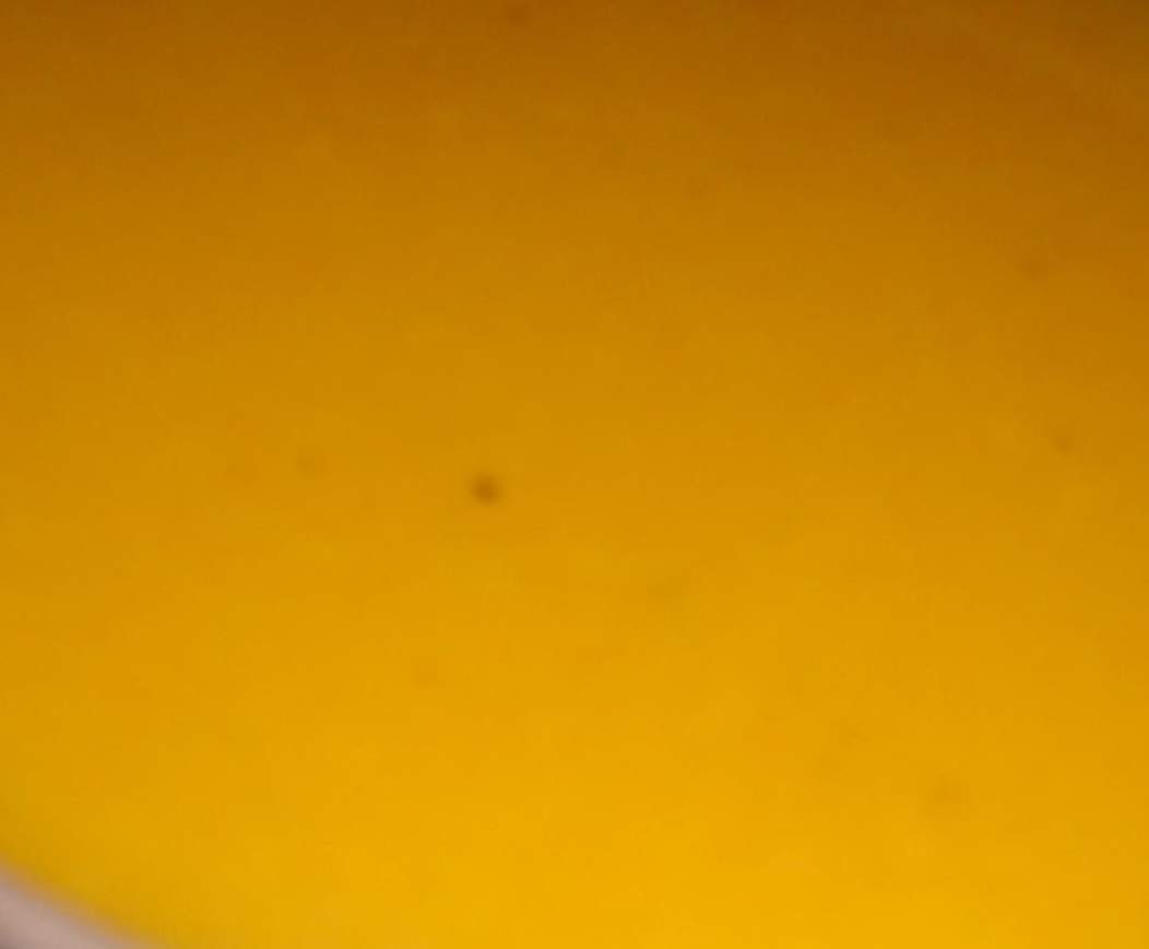 Soupe multi-légumes