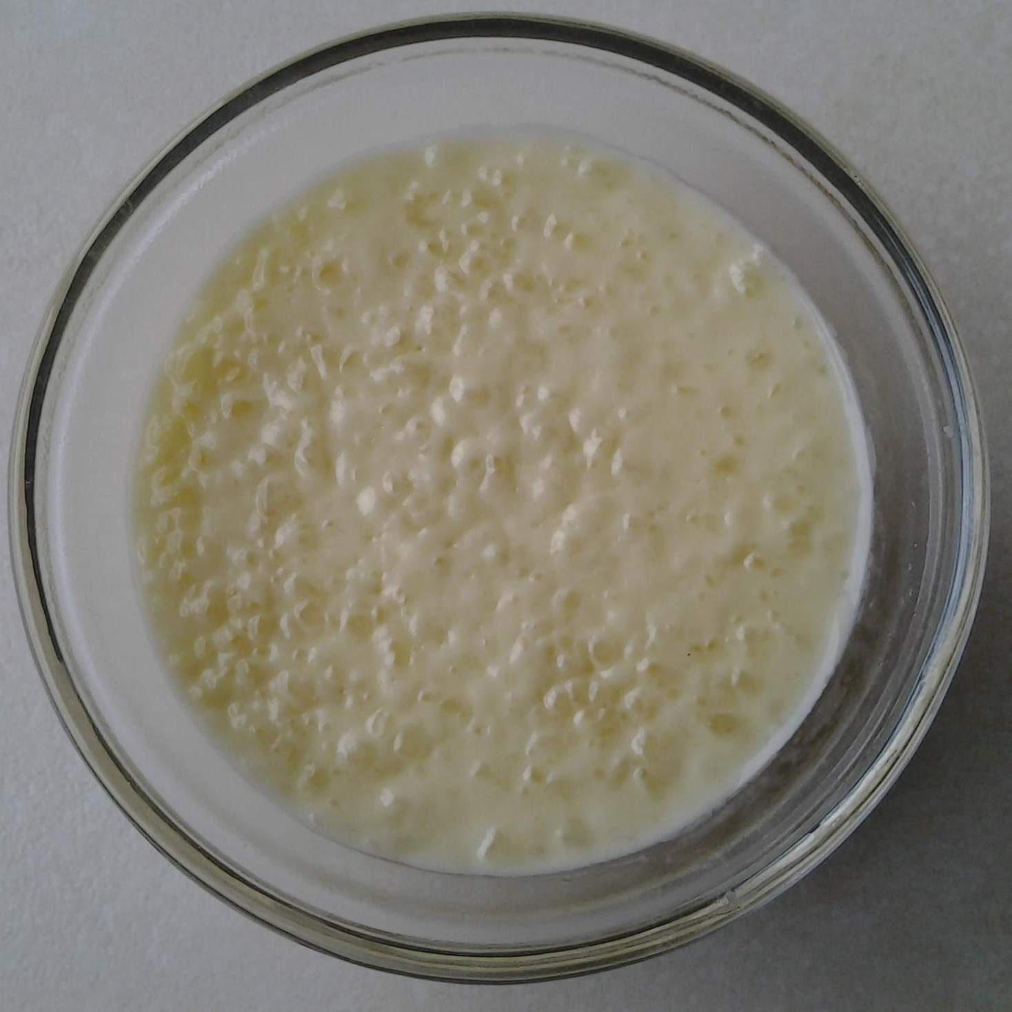 Tapioca au lait à la vanille de JP. Coffe