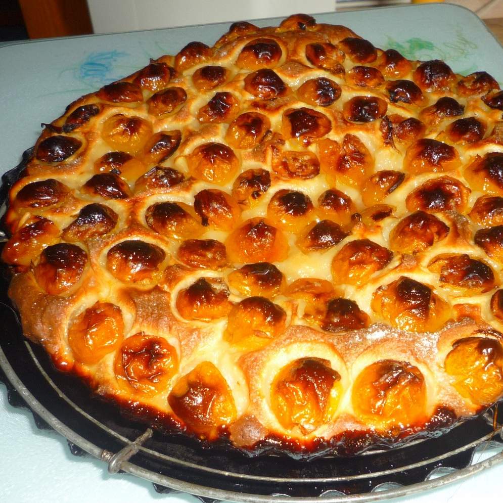 Tarte briochée aux mirabelles
