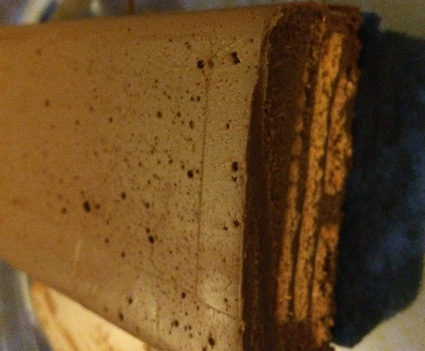 Terrine de chocolat aux speculoos