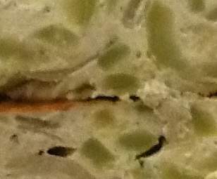 Terrine de courgette