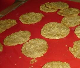 TUILES AUX FLOCONS D AVOINE