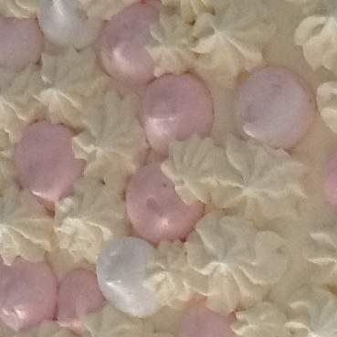 Vacherin fraise vanille