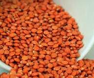 velouté de lentilles corail et lait de coco