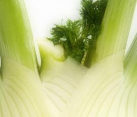 Velouté fenouil - courgettes - curry