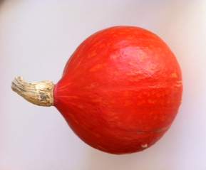 Velouté potimarron Hokkaido au gingembre