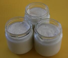 Vla hollandais Vanille - crème vanille façon Danette