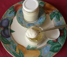 Yahourt Crémeux à la Vanille