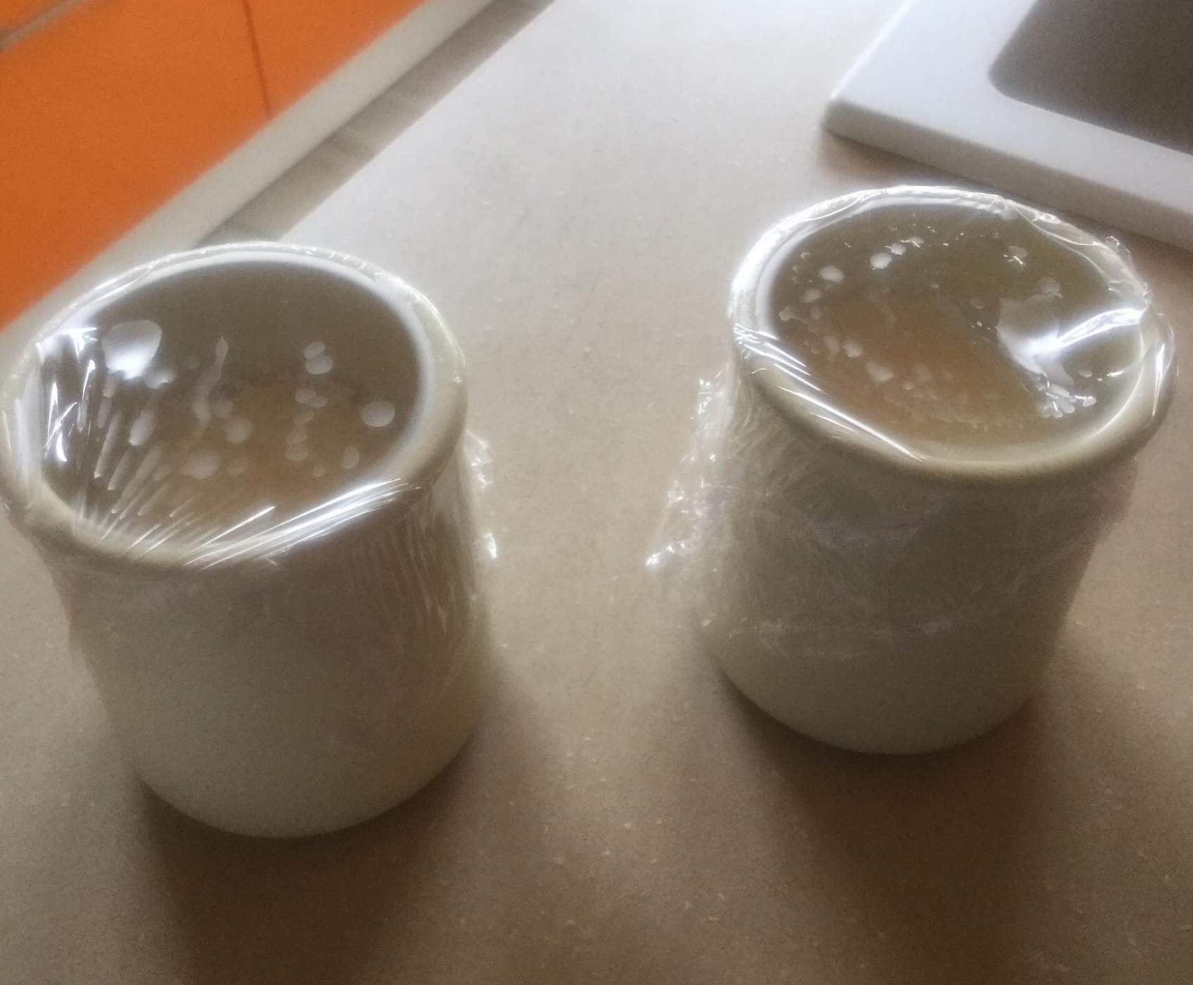 Yaourt au lait de chevre