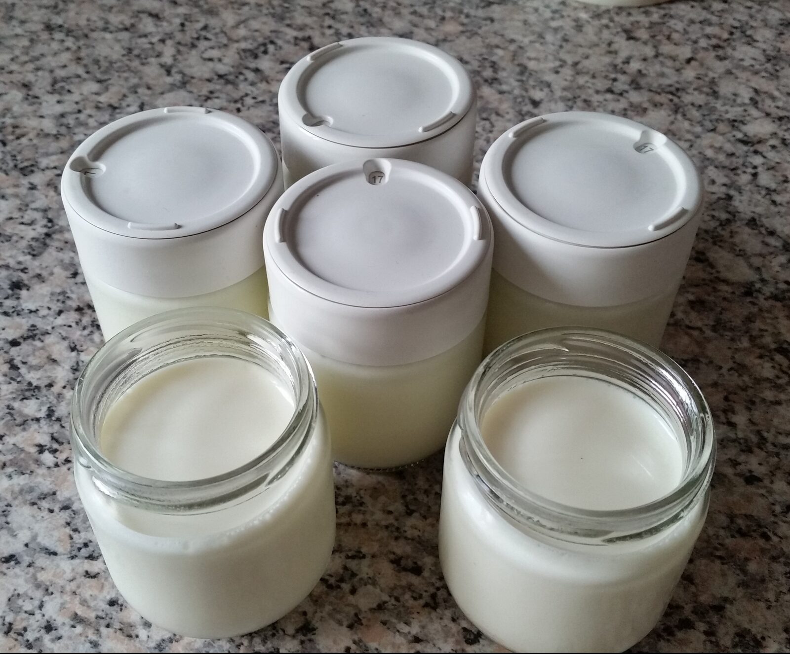 yaourt vanille style la laitière