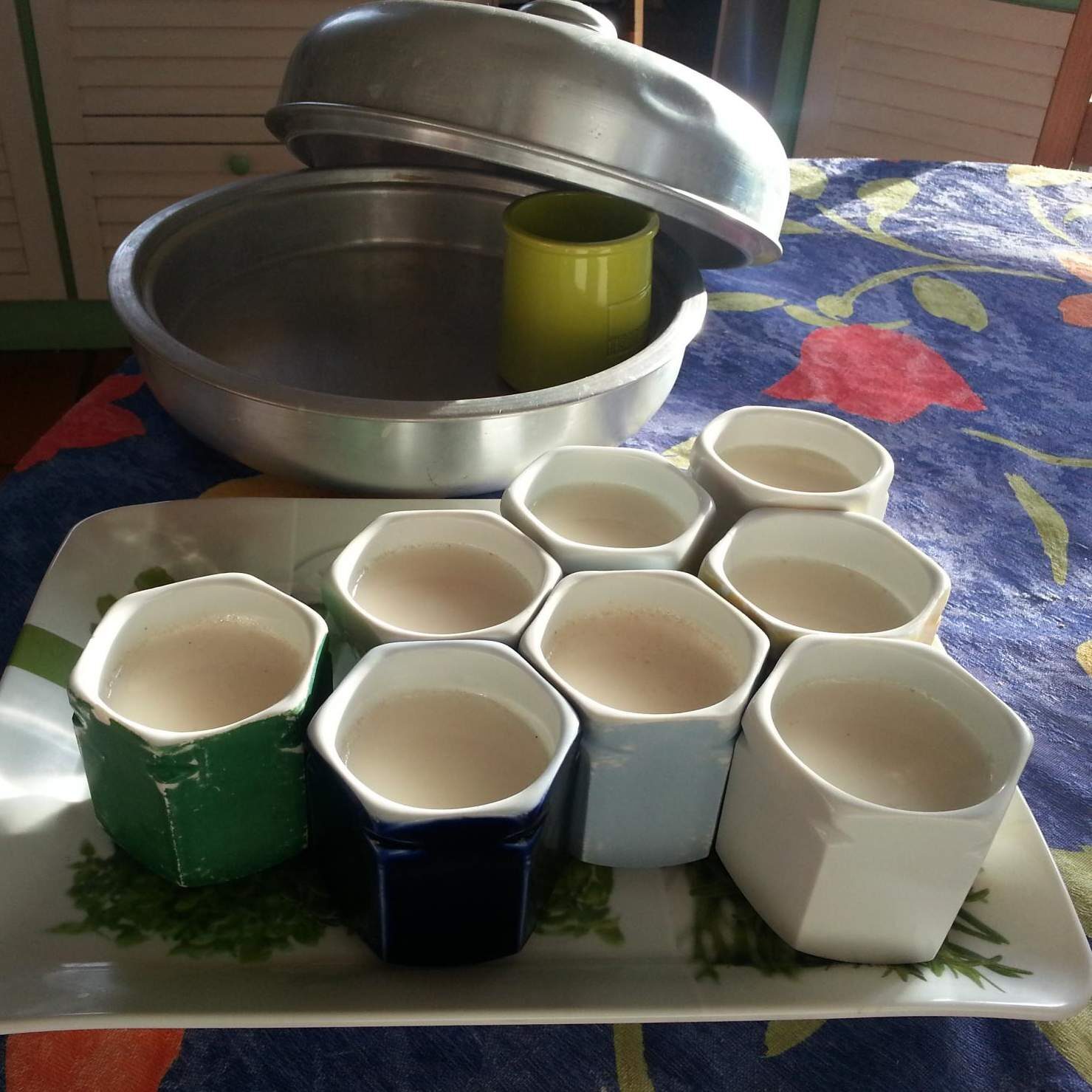 Yaourts à l'ancienne (yaourtière Aluminium Yalacta)