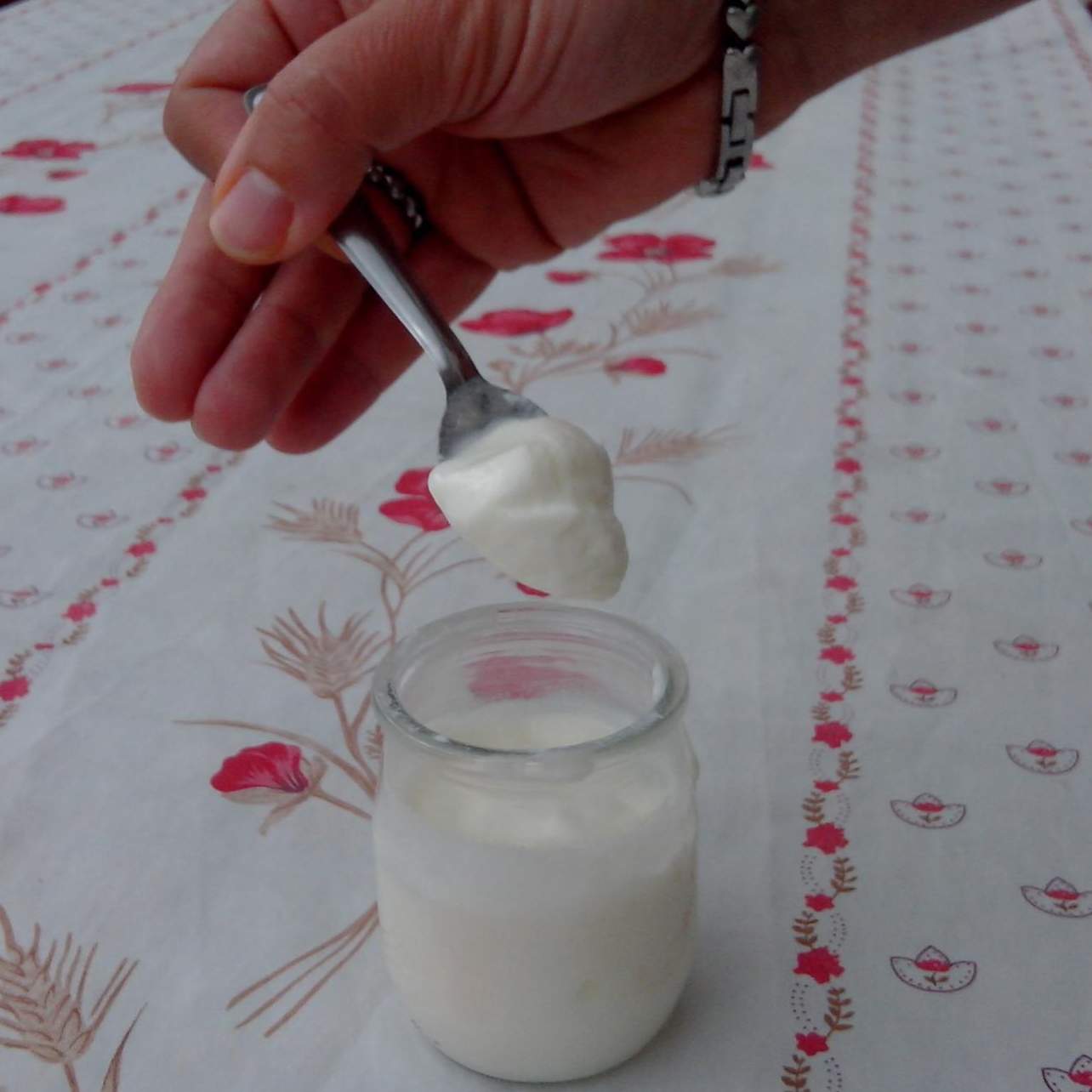 Yaourts express à la vanille