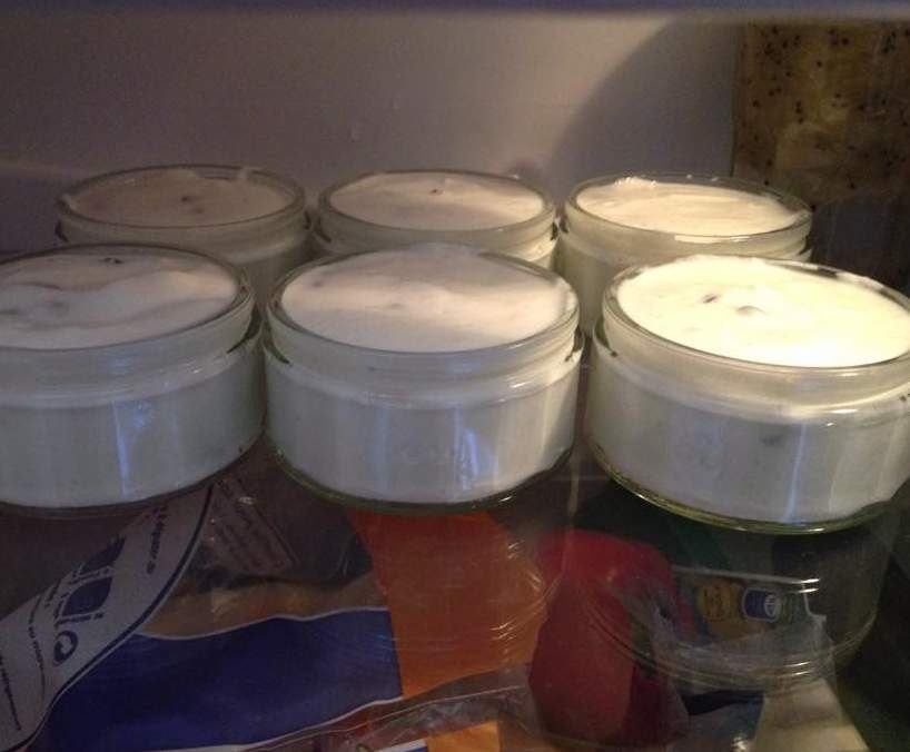 Yaourts Stracciatella noix de coco rapée